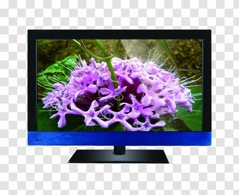 Light Liquid-crystal Display Television - Crystal - 4-core CPU LCD Screen TV Transparent PNG