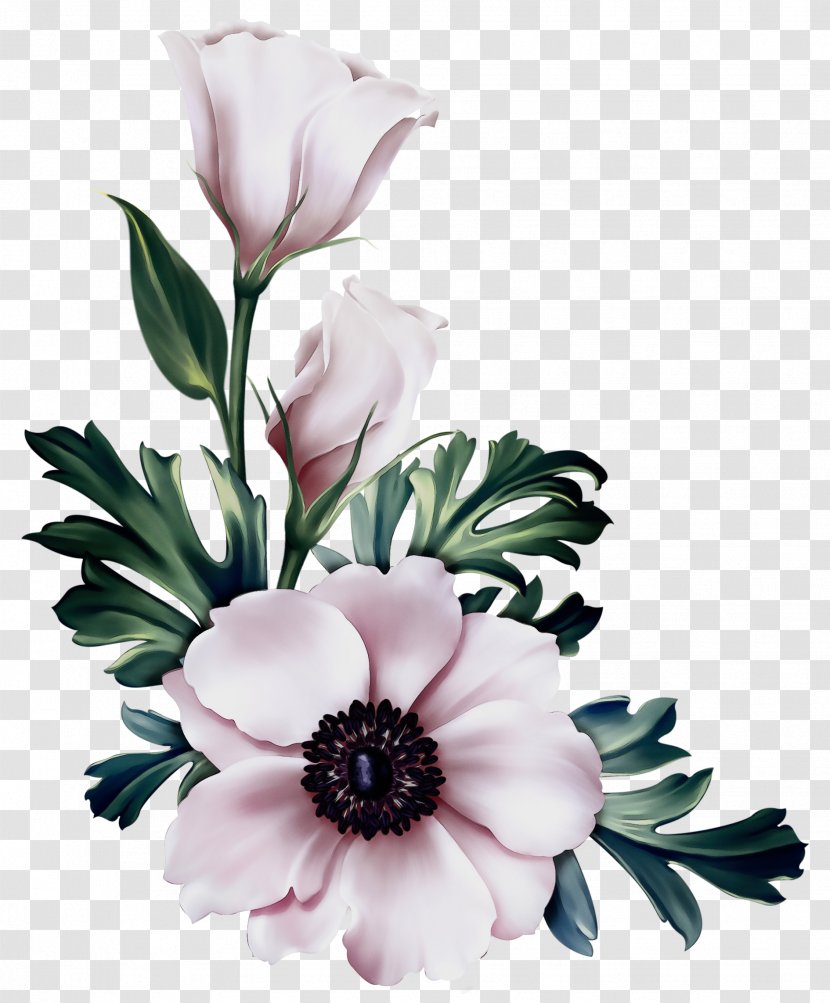 Bouquet Of Flowers Drawing - Floristry - Magnolia Family Wildflower Transparent PNG
