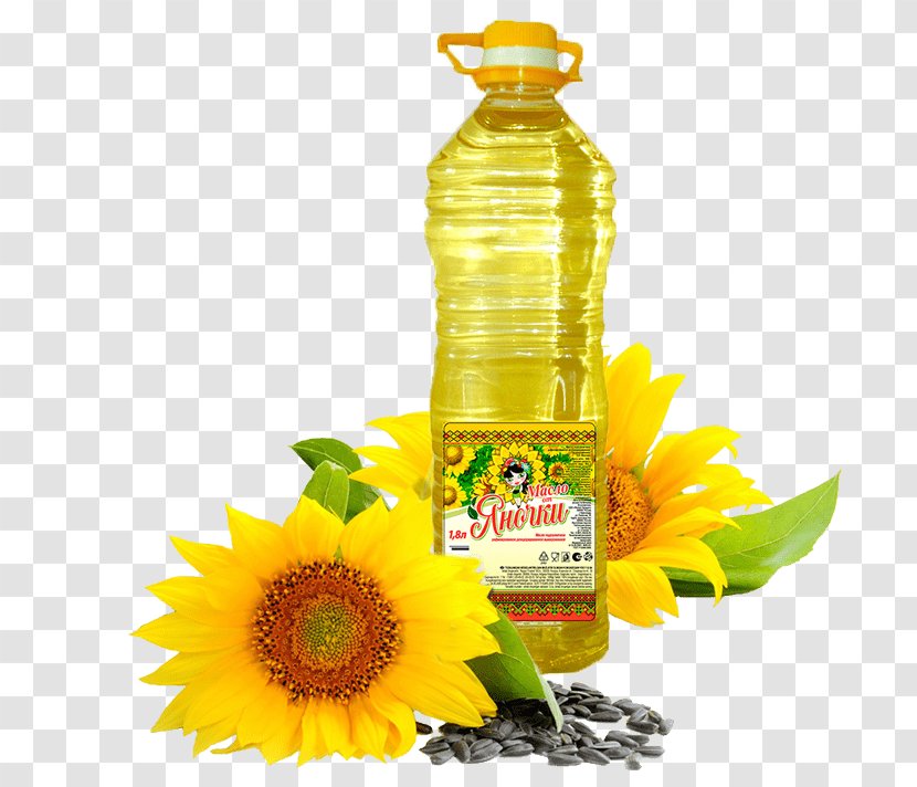 Common Sunflower Oil Seed Health - Skin Transparent PNG