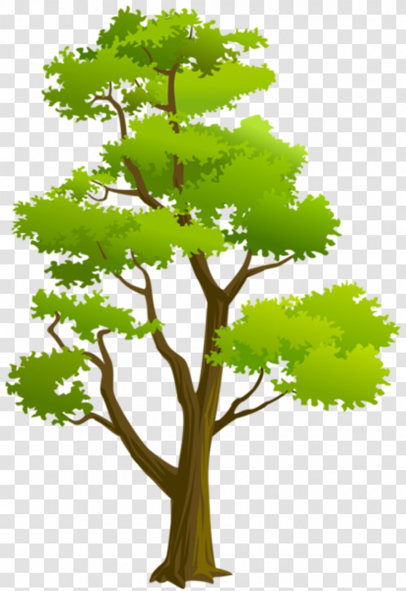 Clip Art Tree Of 40 Fruit Image Openclipart - Woody Plant - Arvore Minus Transparent PNG