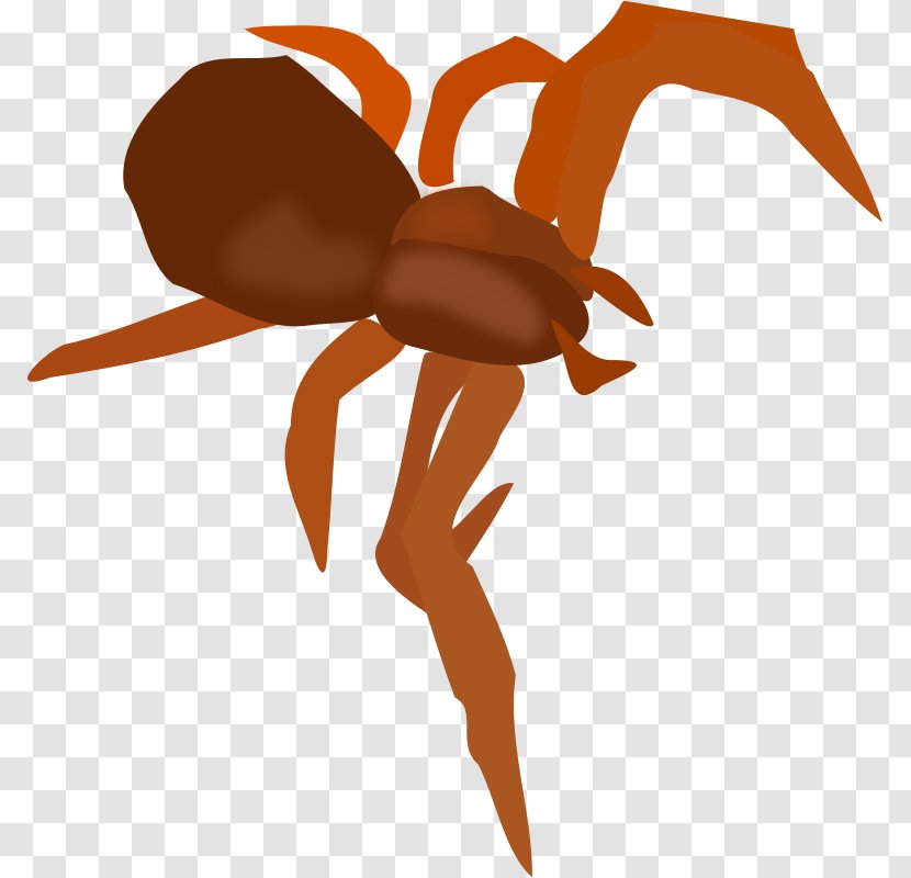Spider Clip Art - Membrane Winged Insect - Brown Cartoon Transparent PNG