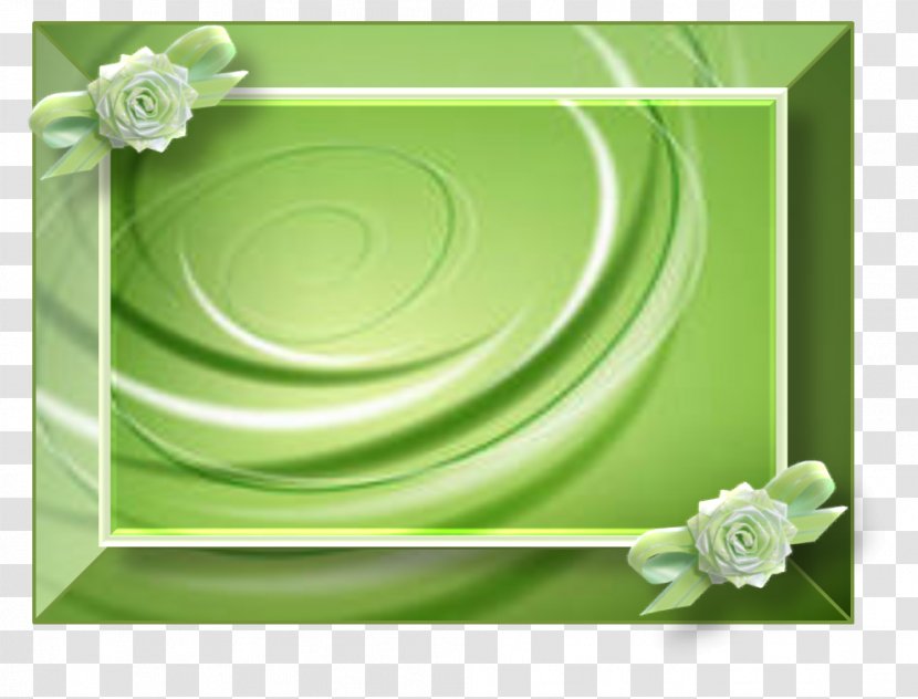 Floral Design Picture Frames Rectangle Flower Transparent PNG