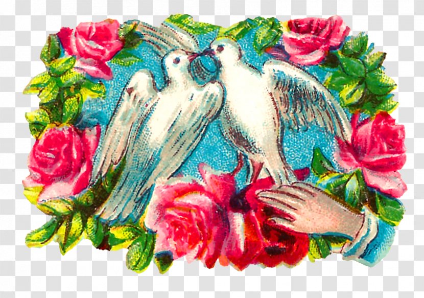 Floral Design Columbidae Bird Clip Art Transparent PNG