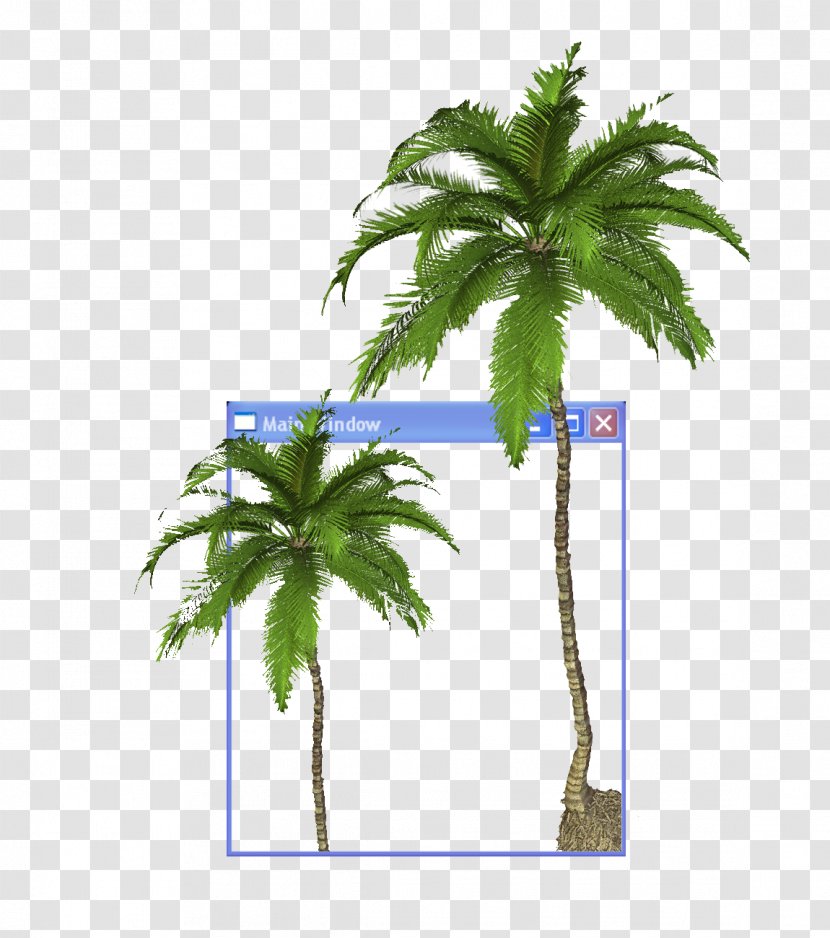 Arecaceae YouTube Aesthetics Clip Art - Coconut Tree Transparent PNG