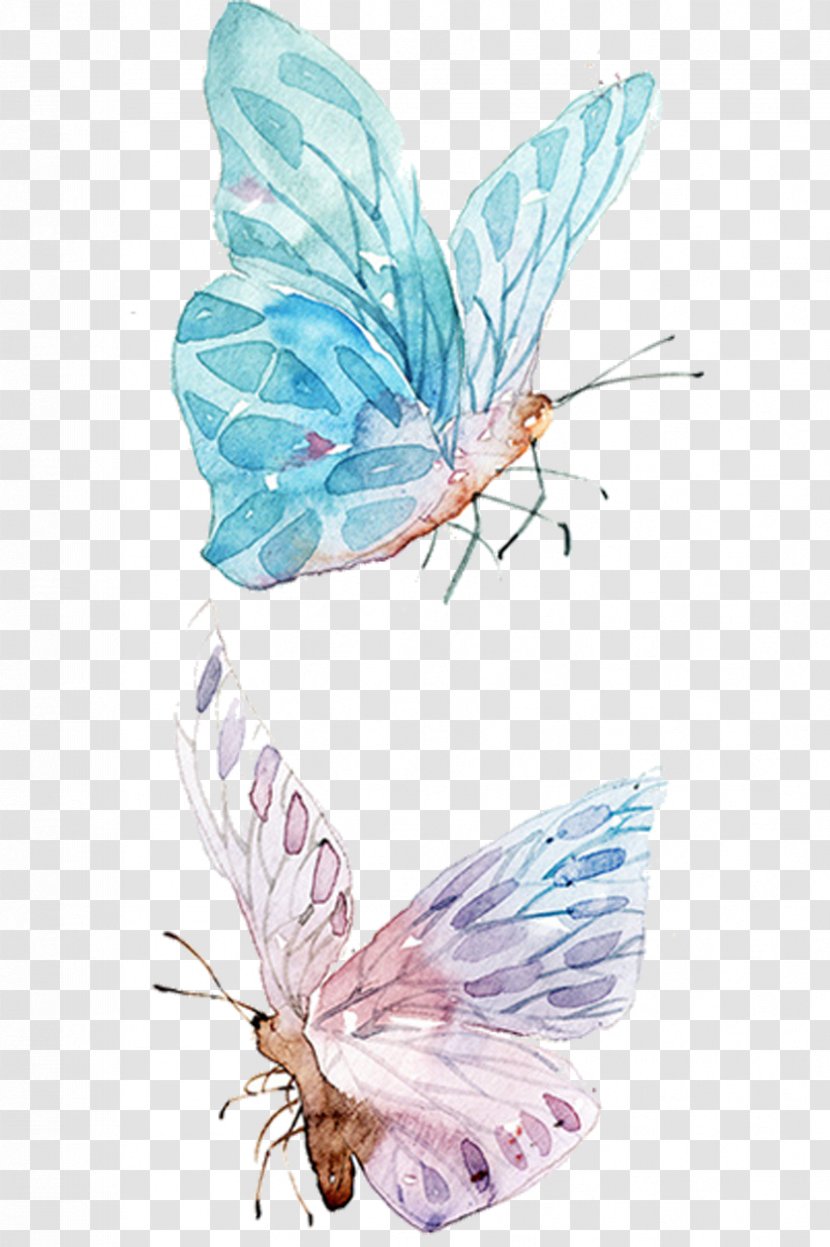 Watercolor Painting Drawing Clip Art - Template - Blue Butterfly Transparent PNG