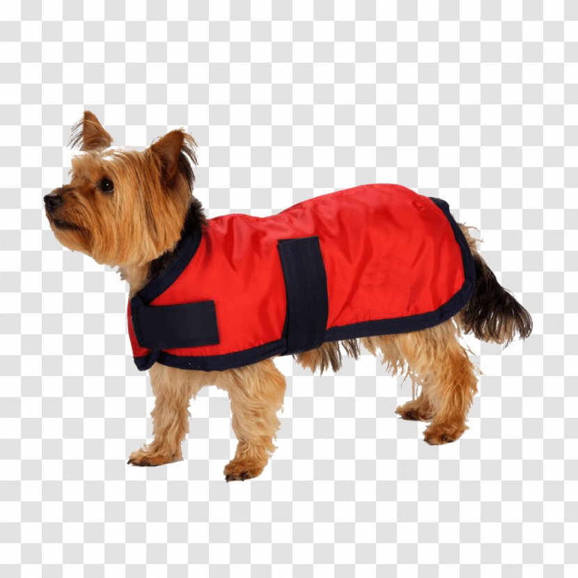 Dog Hoodie Coat Jacket Clothing - Dogs Transparent PNG