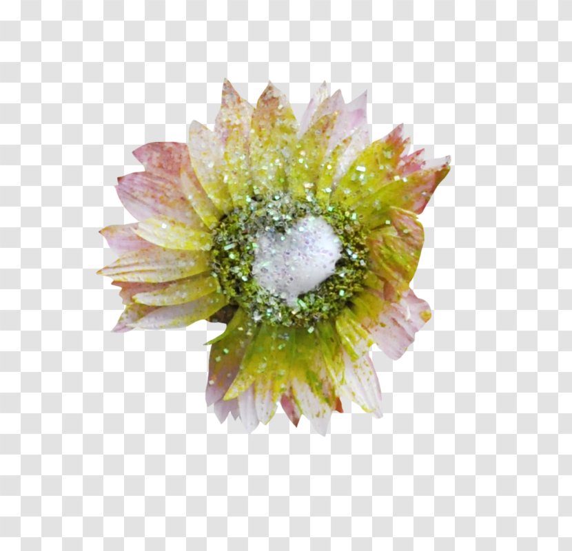 Transvaal Daisy Cut Flowers Chrysanthemum Lesser Cuckoo Violet - Flower Transparent PNG