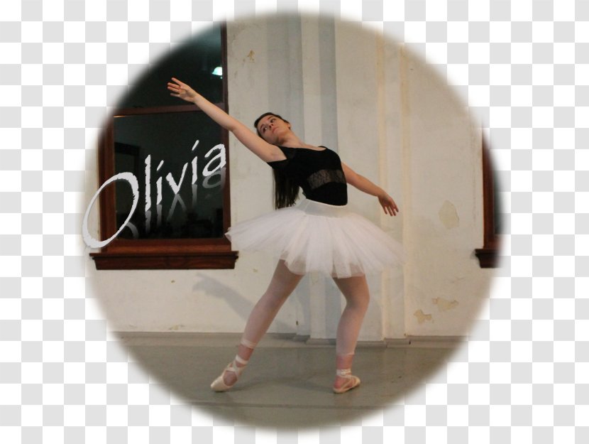 Ballet Choreographer Tutu Dance Choreography - Frame Transparent PNG