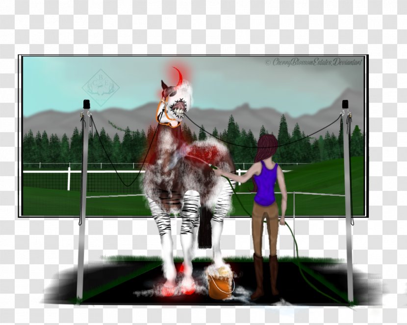 Stallion Recreation Jockey International - Horse Like Mammal - Watercolor Blur Transparent PNG
