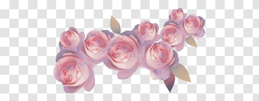 Rose Flower - Family Transparent PNG