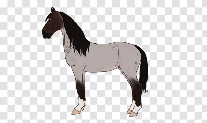 Mane Mustang Stallion Foal Pony - Equestrian Transparent PNG