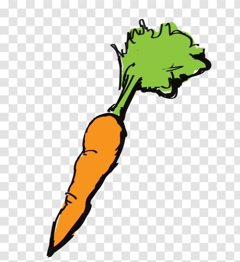 Carrot Cartoon - Celery - Radish Daikon Transparent PNG