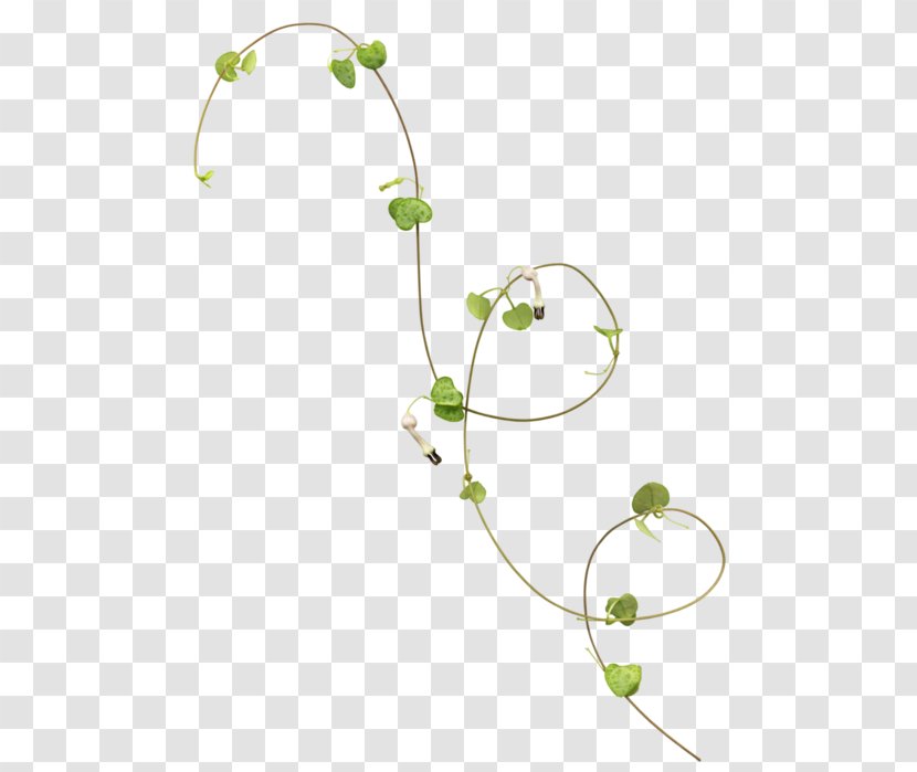 Vine Image Flower Vector Graphics - Leaf Transparent PNG