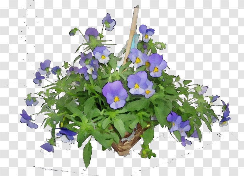 Purple Watercolor Flower - Dayflower - Gentian Family Transparent PNG