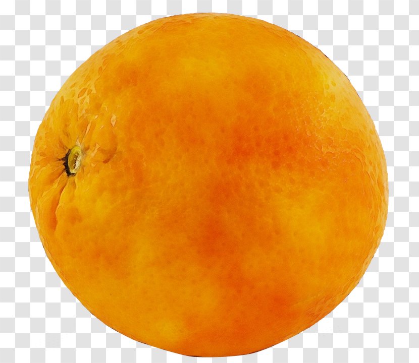 Earth Cartoon - Biscuit - Valencia Orange Citrus Transparent PNG