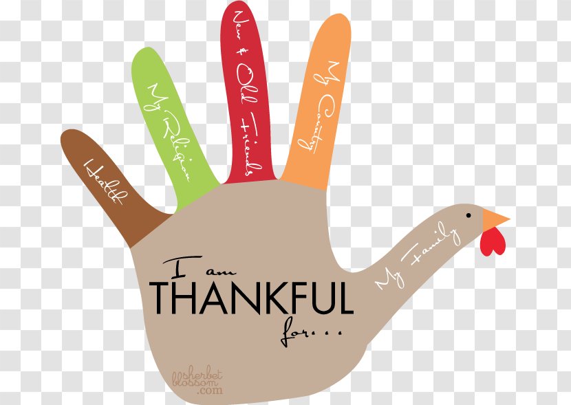 Turkey Meat Template Thanksgiving Paper - Hand - Material Transparent PNG