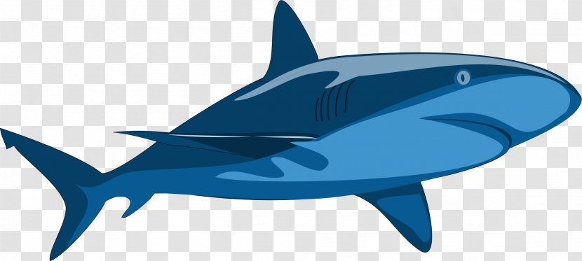 Shark Jaws Clip Art - Cartilaginous Fish Transparent PNG