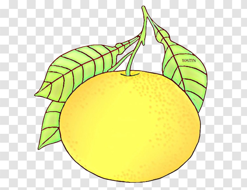 Citrus Leaf Fruit Lemon Yellow Transparent PNG