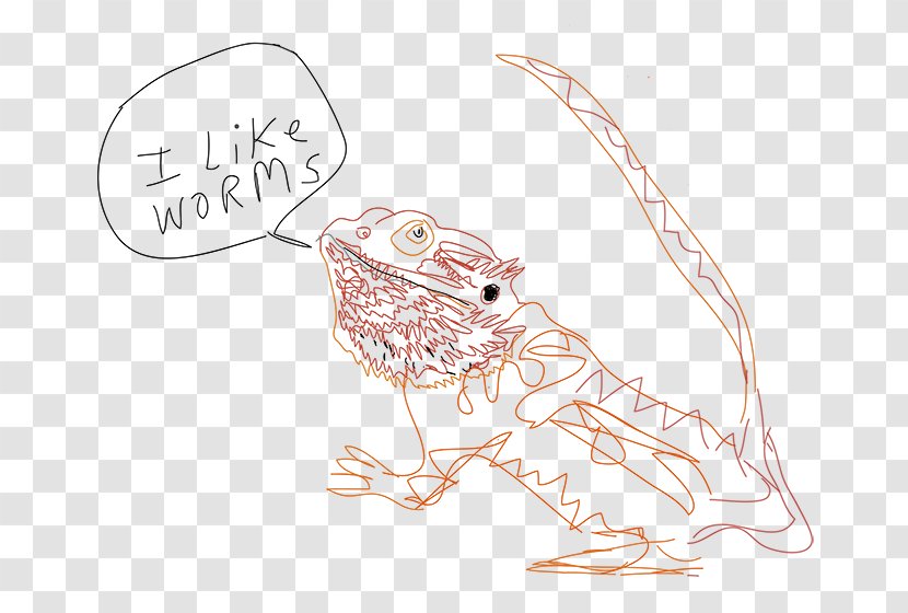 Vertebrate Drawing Cartoon Sketch - Frame - Bearded Dragon Transparent PNG