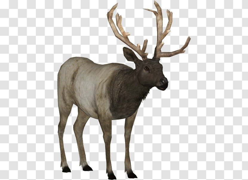 Zoo Tycoon 2: Marine Mania Elk Deer Transparent PNG