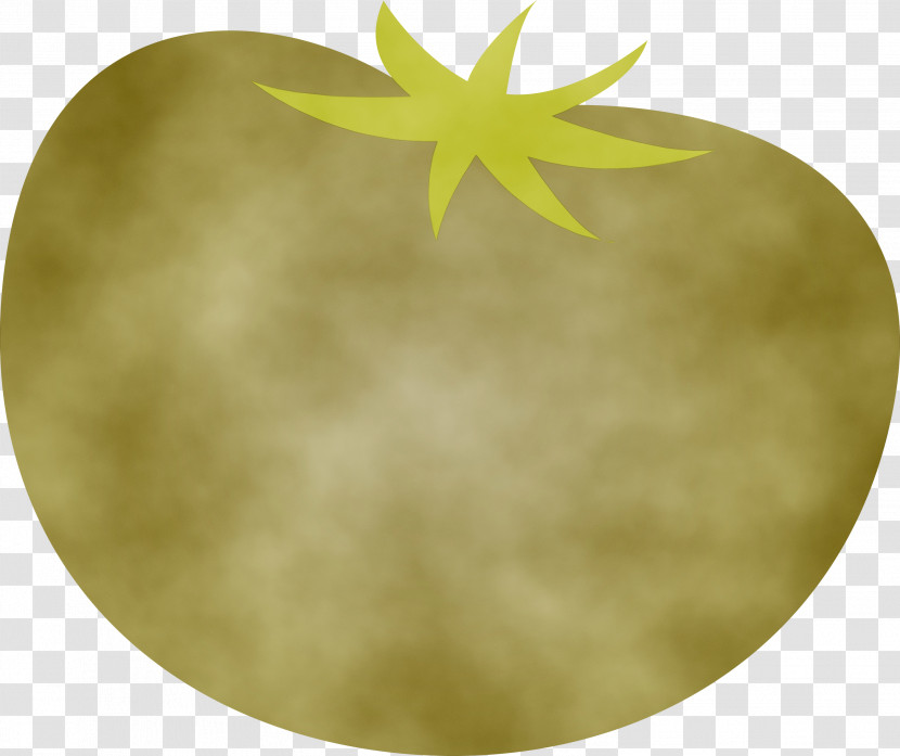 Leaf Yellow Plant Structure Plants Biology Transparent PNG