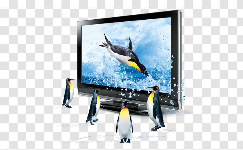 3D Television Computer Graphics Icon - Plasma Display - TV Penguins Transparent PNG