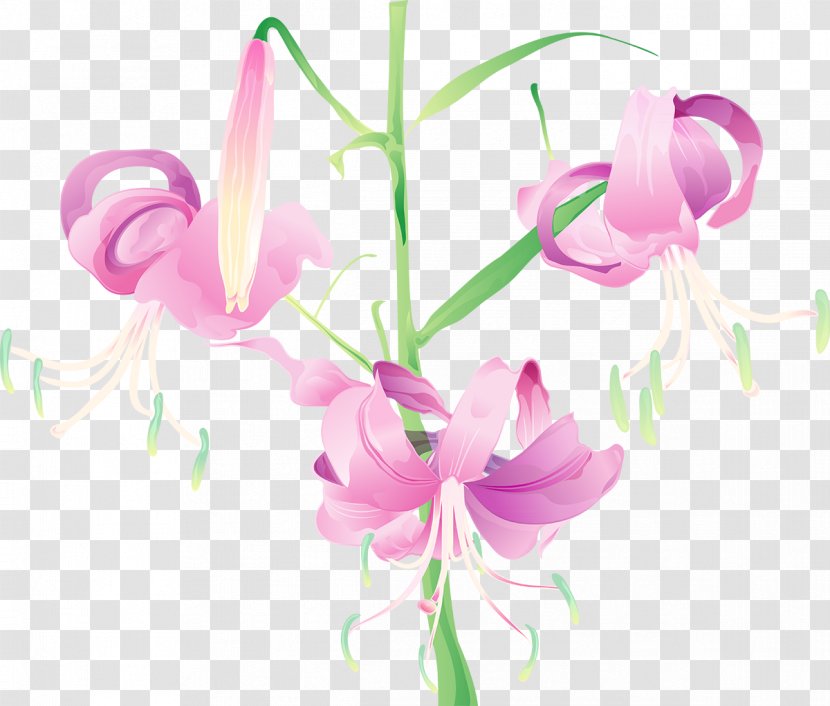 Flower Watercolor Painting Lilium - Flora - Handpainted Flowers Transparent PNG
