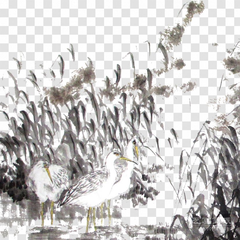 Ink Wash Painting Chinese Gongbi - Two White Goose On The Reed Marshes Transparent PNG