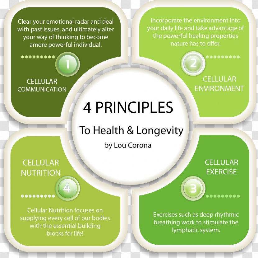 Health Principios De Farmacología Médica Principle Dietary Supplement Nutrition - Fitness And Wellness Transparent PNG
