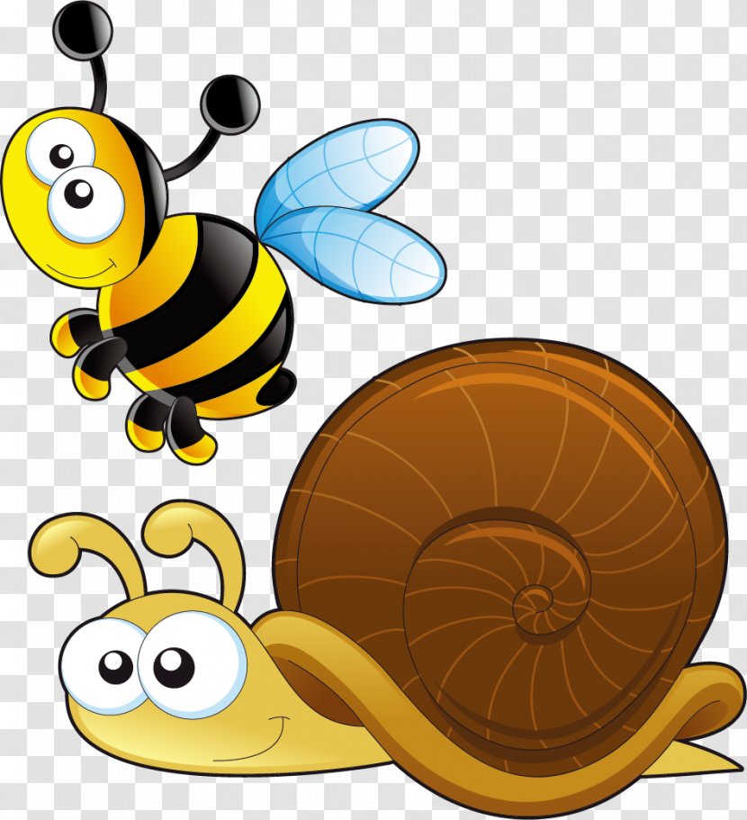 Snail Gastropods Reptile Animal Clip Art Transparent PNG