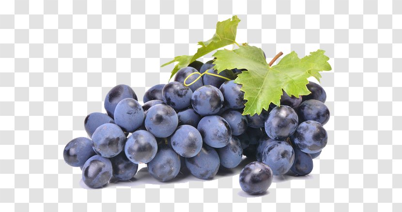 Grape Seed Extract Food Fruit Common Vine - Wine Transparent PNG