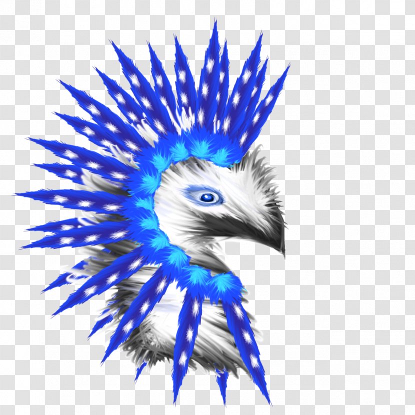 Bald Eagle Beak Cobalt Blue - Bird Of Prey Transparent PNG