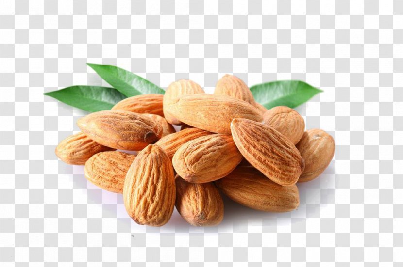 Almond Nutrient Peach Nutrition Juglans - Walnut - Nuts Hand Drawing,Almond Transparent PNG