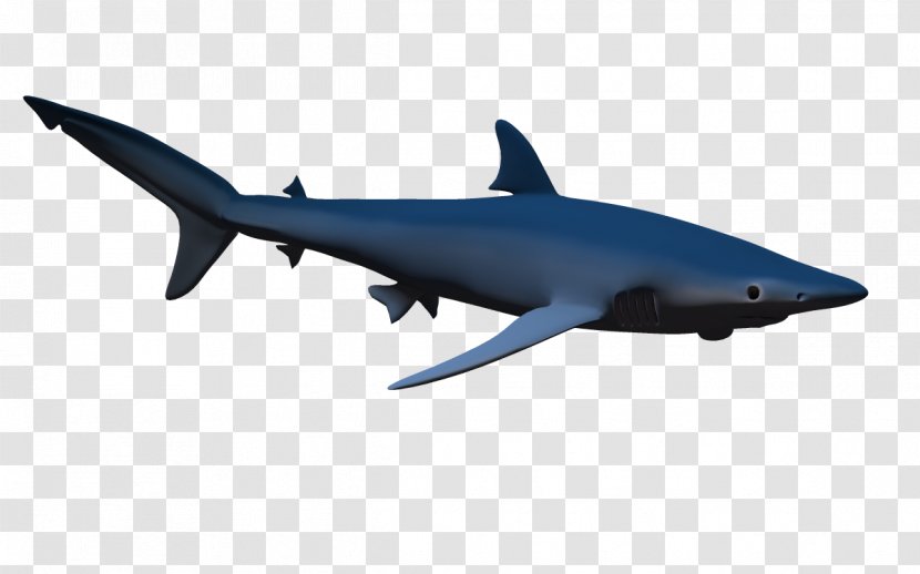 Shark & Dolphin 3D Computer Graphics Clip Art - Preview - Creative 3d Marine Fish,Whales Model Transparent PNG
