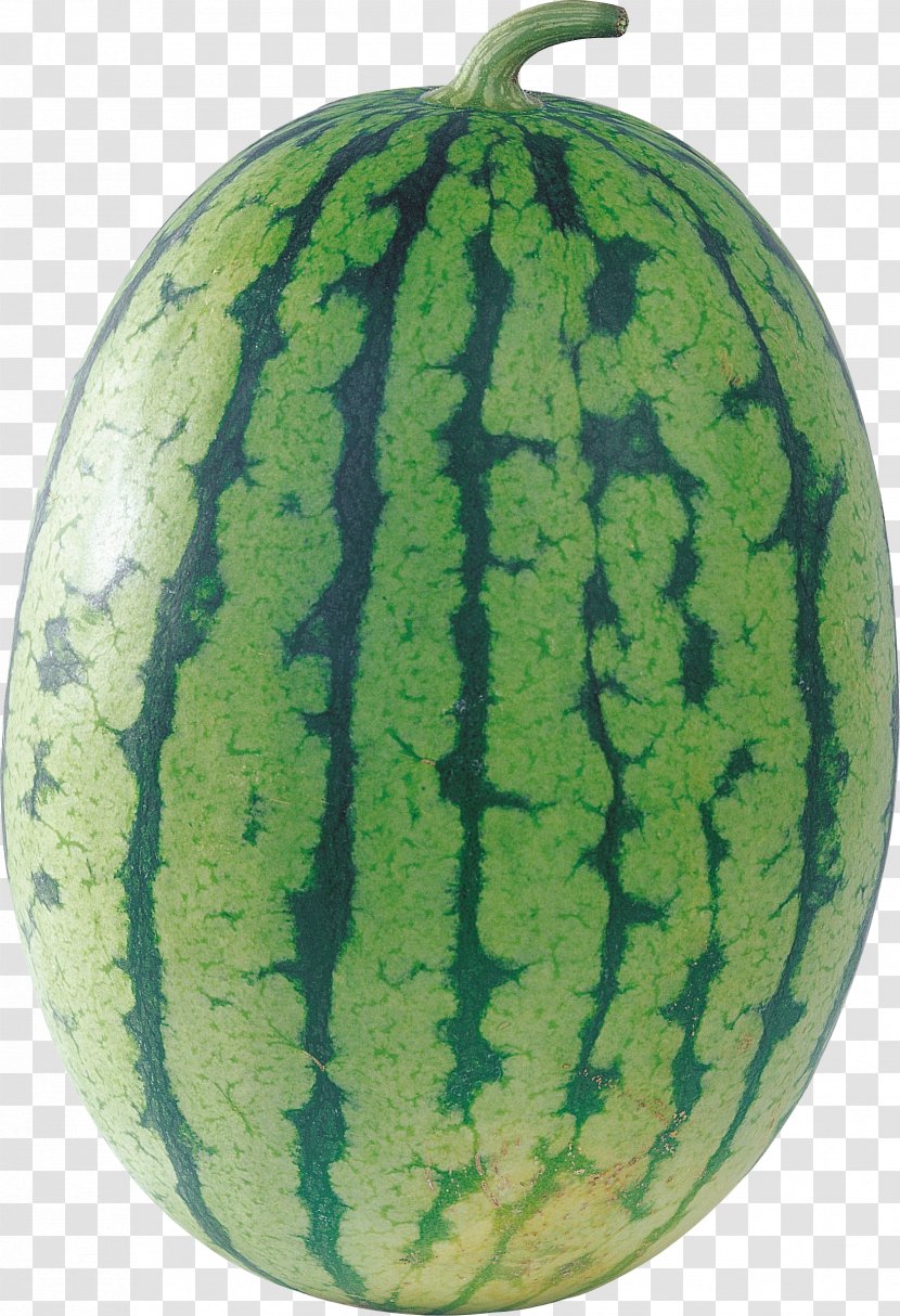 Cantaloupe Watermelon Citrullus Lanatus - Cucurbita Transparent PNG