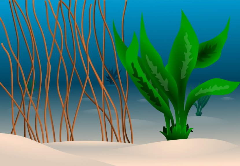 Seabed Ocean Underwater Clip Art - Free Content - Sea Plants Cliparts Transparent PNG