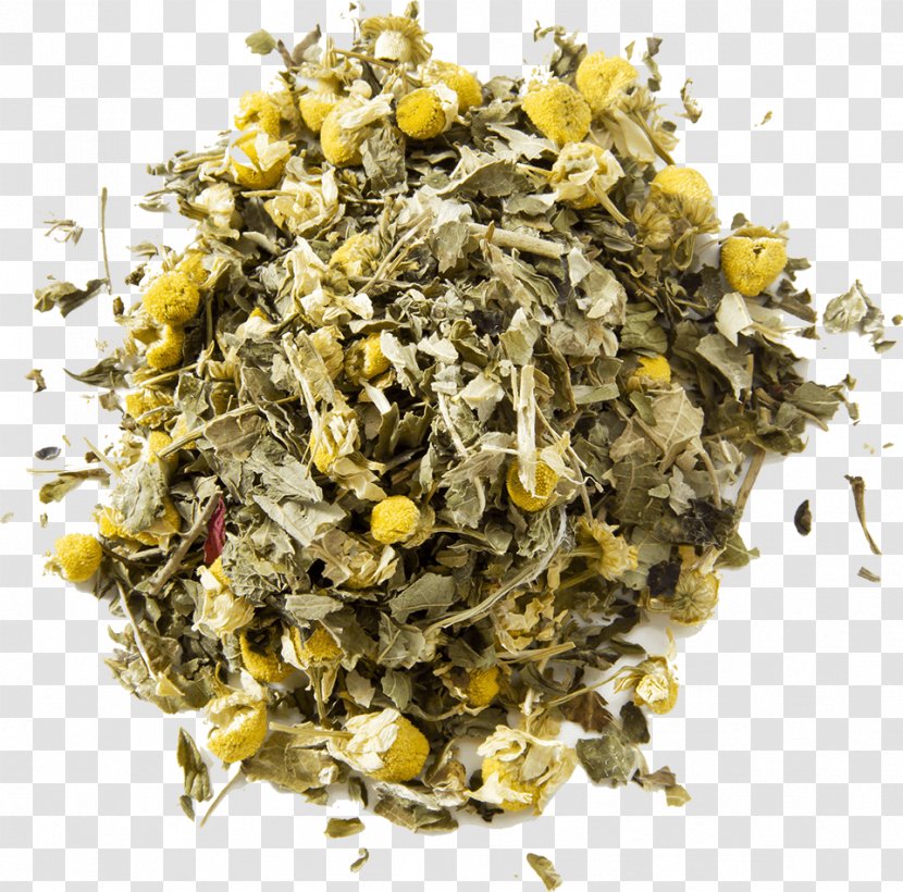 Oolong Green Tea Masala Chai Flowering - Dianhong Transparent PNG