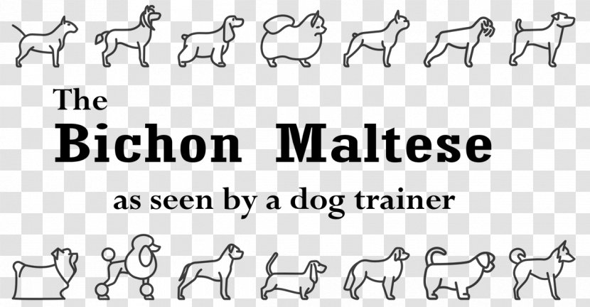 Maltese Dog Bichon Frise Beak Animal - Text Transparent PNG