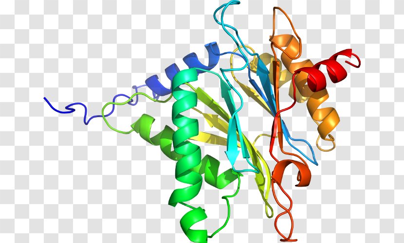 Protein Tertiary Structure Radixin Gene - Flower - Silhouette Transparent PNG