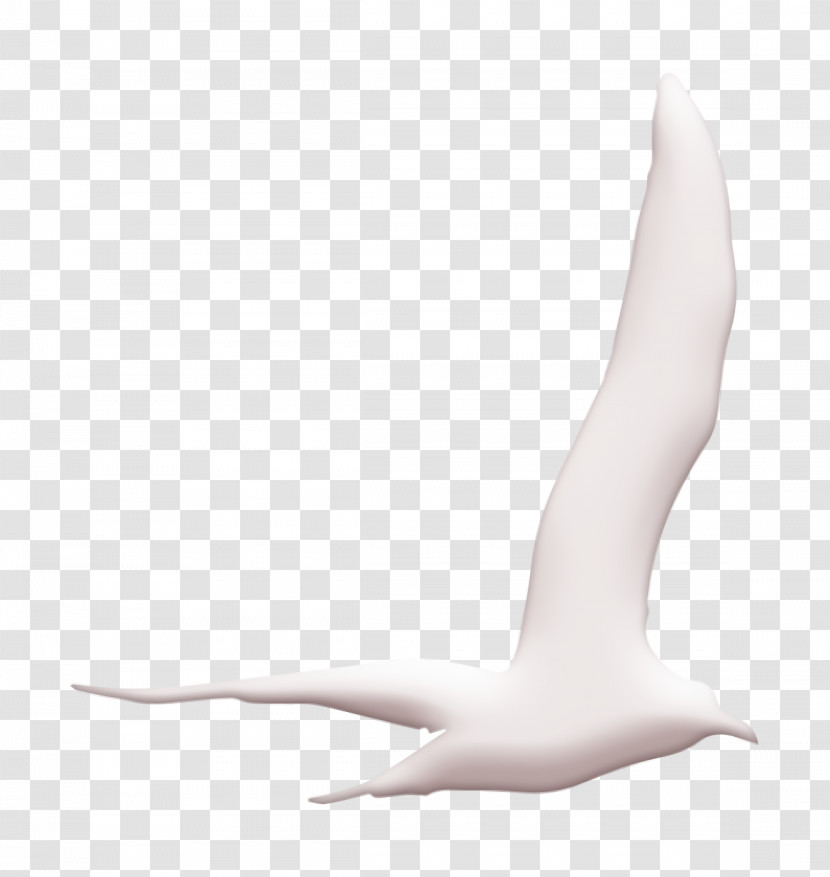Bird Icon Gull Bird Flying Shape Icon Animal Kingdom Icon Transparent PNG