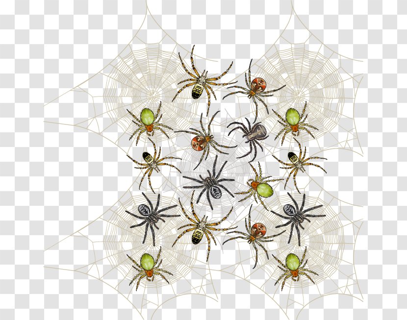 Software Design Pattern - Invertebrate - Vector Spider Transparent PNG