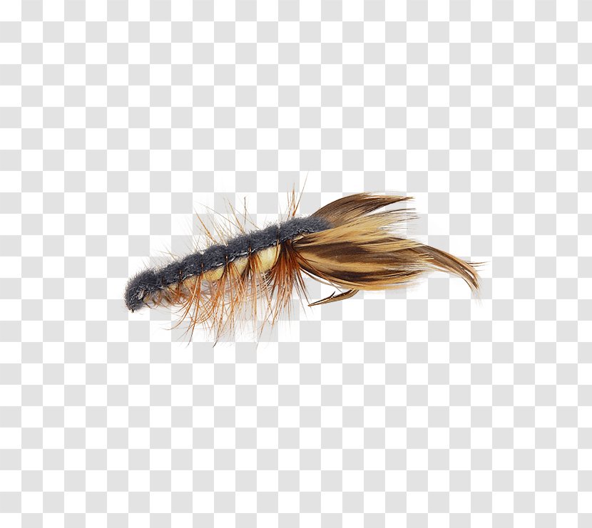 Crayfish Fly Fishing Bass Membrane Insect - Winged Transparent PNG