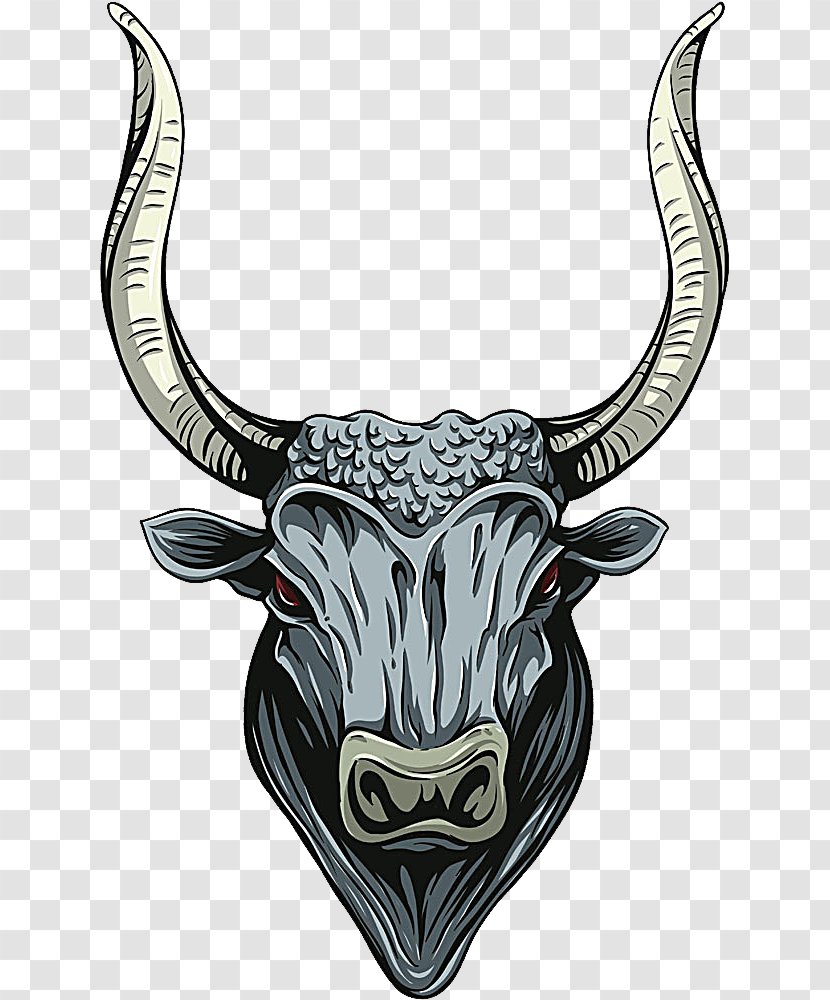 Taurine Cattle - Cartoon - Drawing Transparent PNG