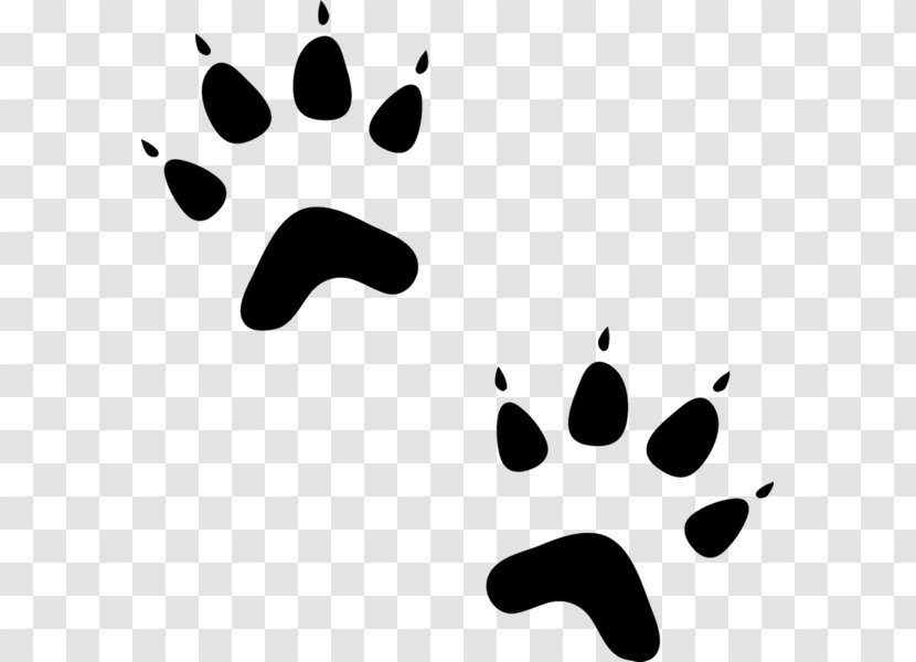 Paw Bear Sphynx Cat Dog Pet Sitting - Animal Track Transparent PNG