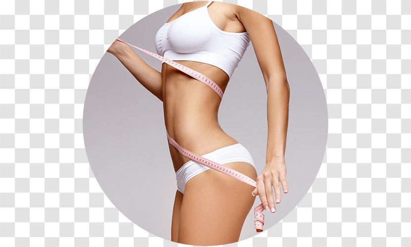 Abdominoplasty Plastic Surgery Body Contouring Buttock Augmentation - Tree - Watercolor Transparent PNG