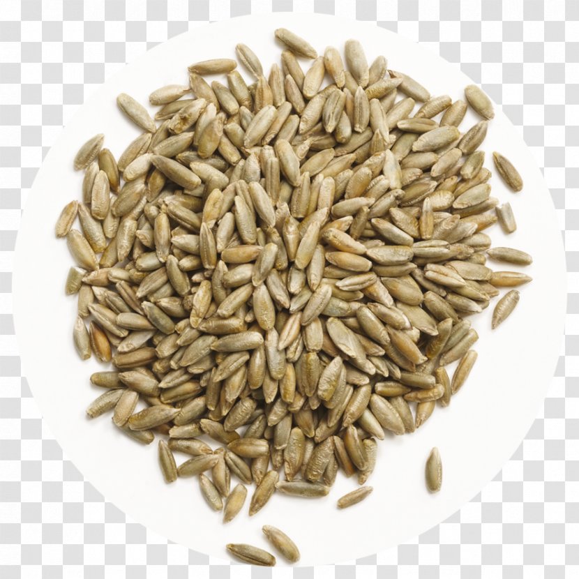 Cumin Spice Seed Dill Coriander - Avena - Risotto Transparent PNG