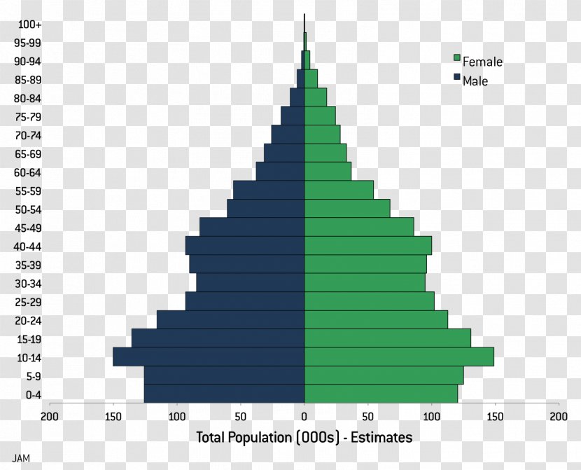 Population Pyramid World Human Overpopulation - Christmas Tree Transparent PNG