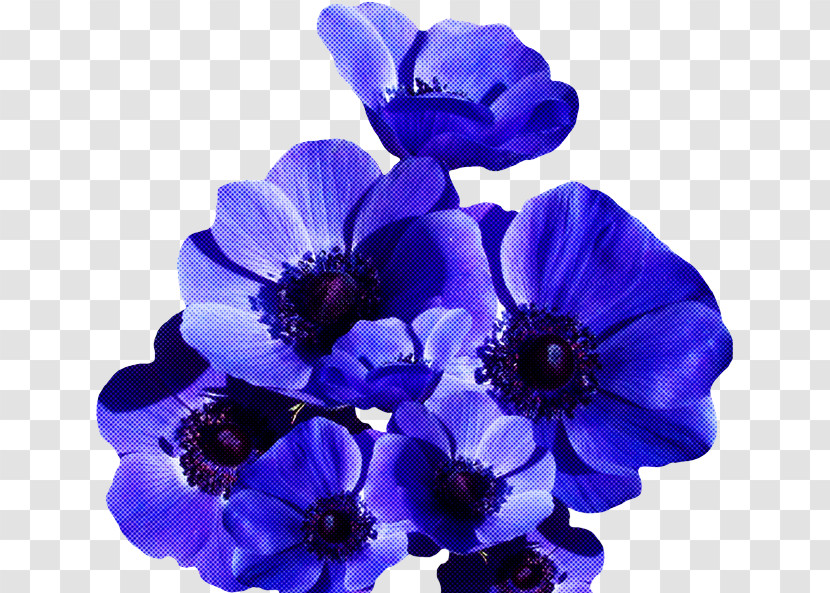Flower Blue Purple Petal Violet Transparent PNG