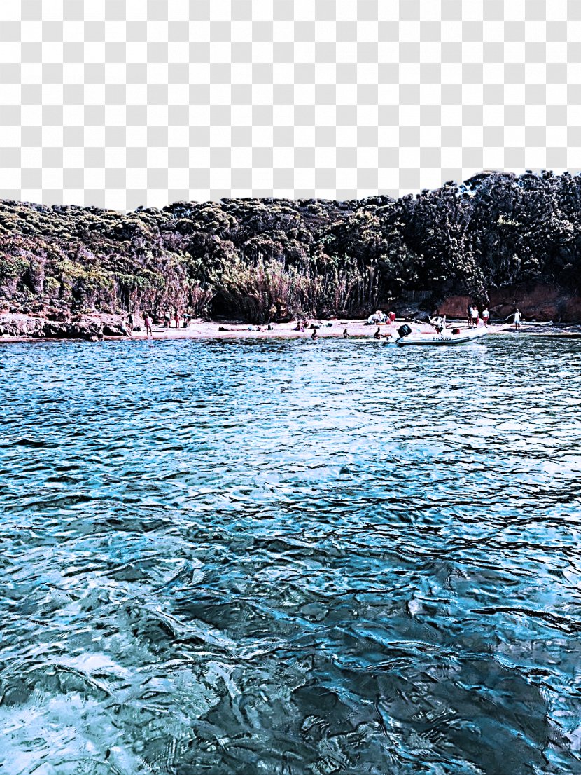 Body Of Water Sea Coast Ocean - Bight Bay Transparent PNG