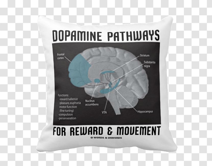 Human Brain Dopamine Neuroanatomy Limbic System - Anorexia Nervosa Transparent PNG
